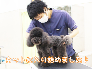 ２年生に向けて！先生の試技会♪②